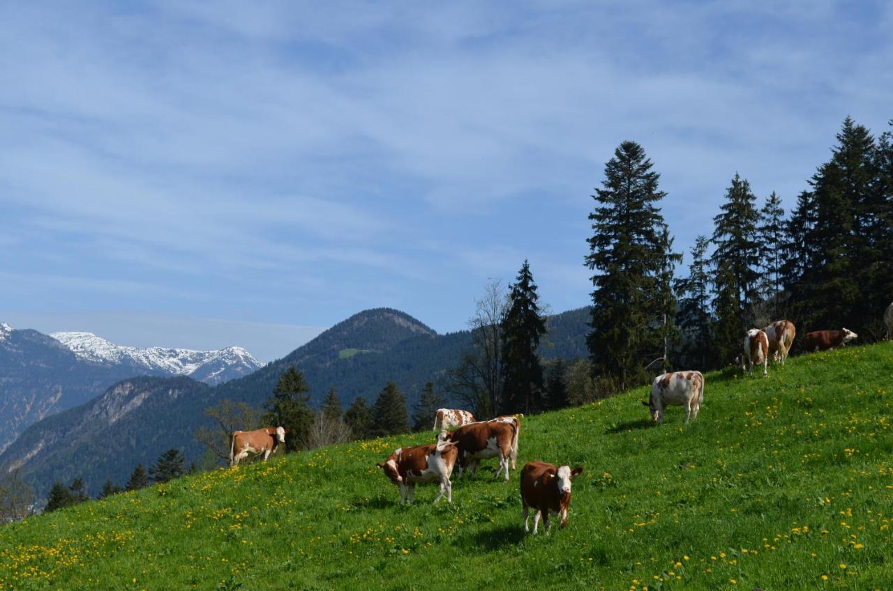 Apart Timeout Hart im Zillertal Buitenkant foto