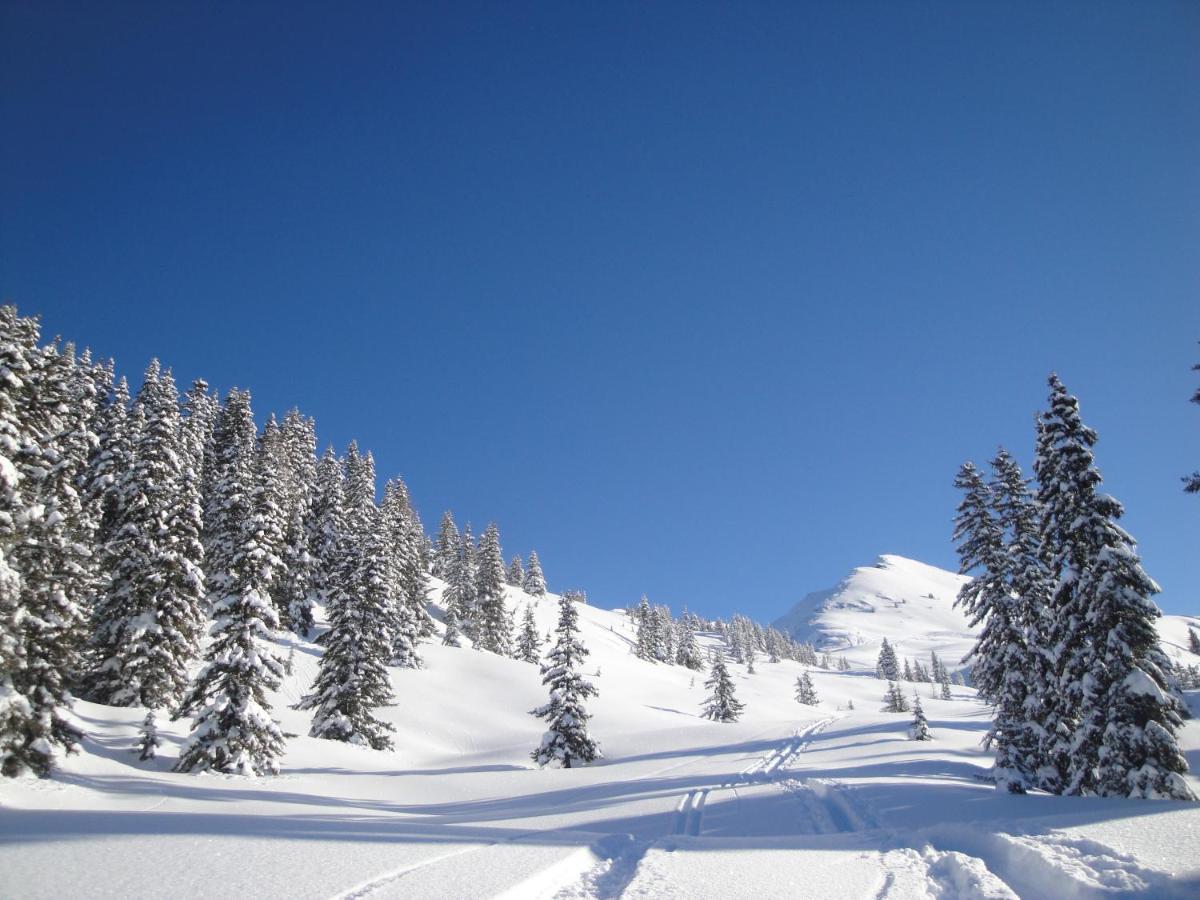 Apart Timeout Hart im Zillertal Buitenkant foto